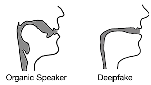 Deepfake audio has a tell – researchers use fluid dynamics to spot artificial imposter voices